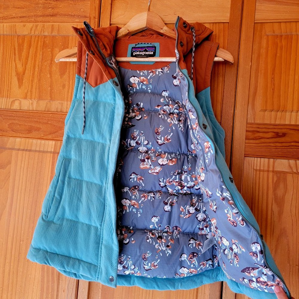 Rare Patagonia Mushroom-Print Bivy Vest